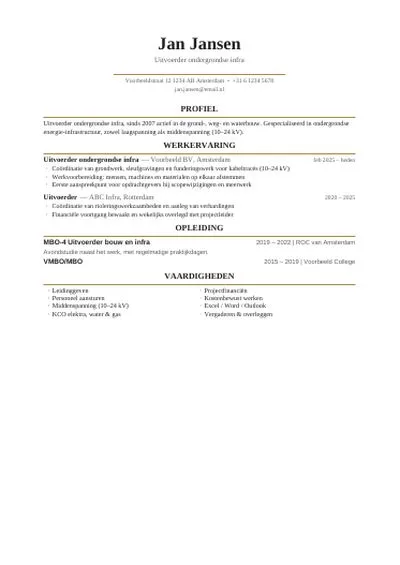 Elegant CV design