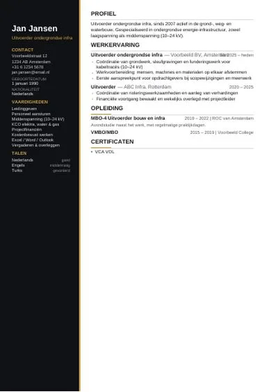 Executive CV design