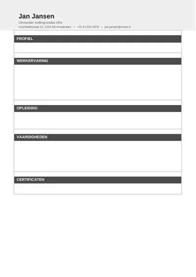 Formal CV design