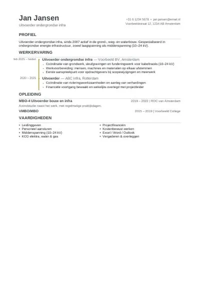 Timeline CV design